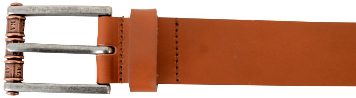 Nevada-riem