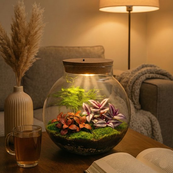 Terrarium decoratie als originele cadeaus voor vrouwen