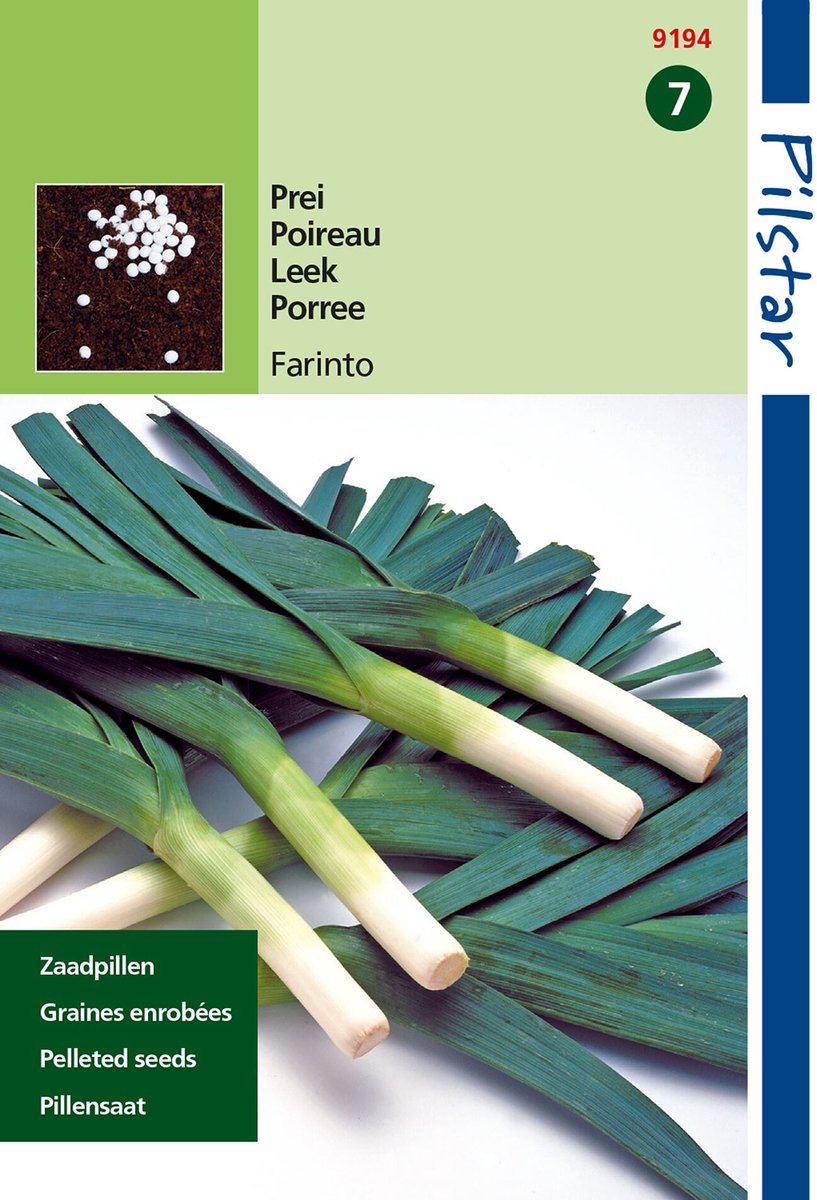 Hortitops Pilstar Prei Blauwgroene Winter
