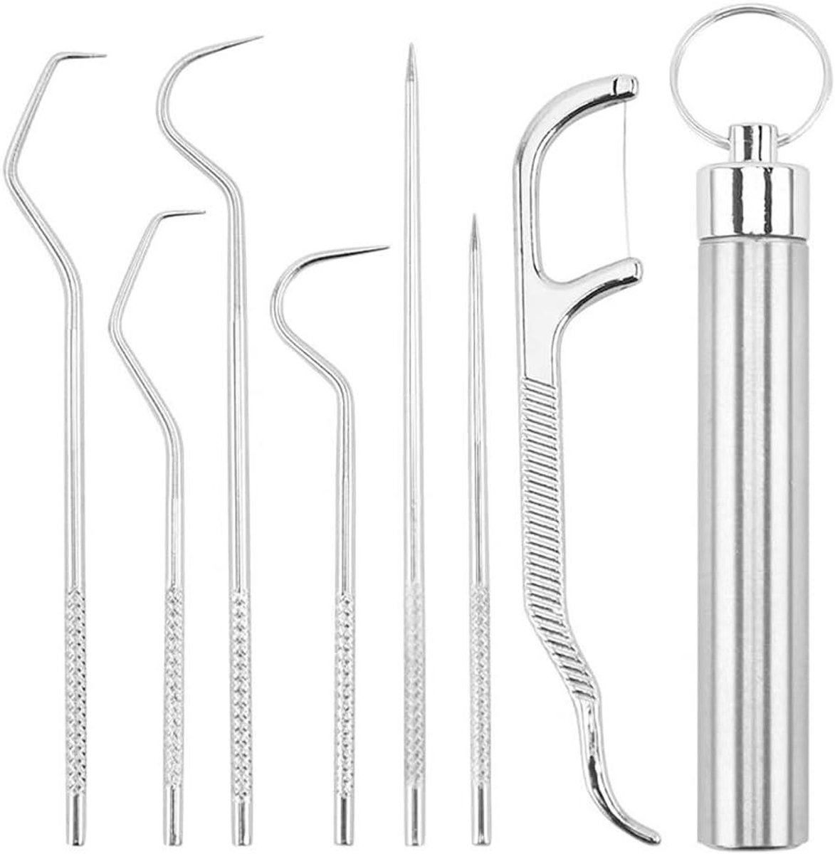 Tandenstokerset Roestvrijstaal - Metalen Tandenstokers Herbruikbaar - Mondhygiëne Onderweg - Draagbare Houder - 7 Stuks - Zilver