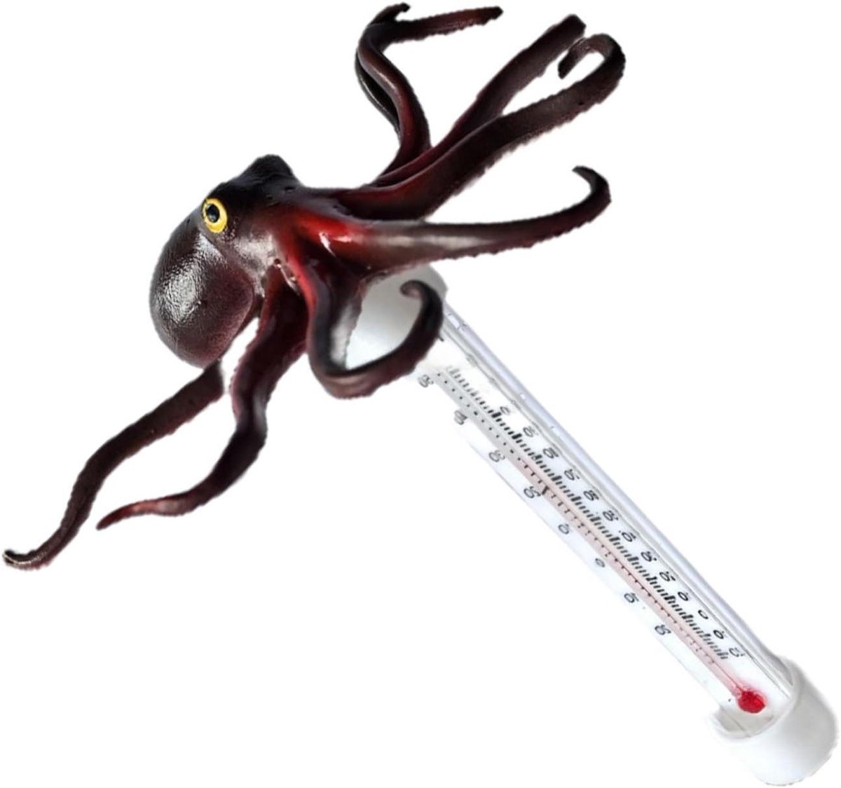 Drijvende Temperatuurmeter - Watermeter Cartoon - Watertemperatuur Meten - Grote Drijvende Meter - 19 x 8.5 x 8.5 cm - Meerkleurig