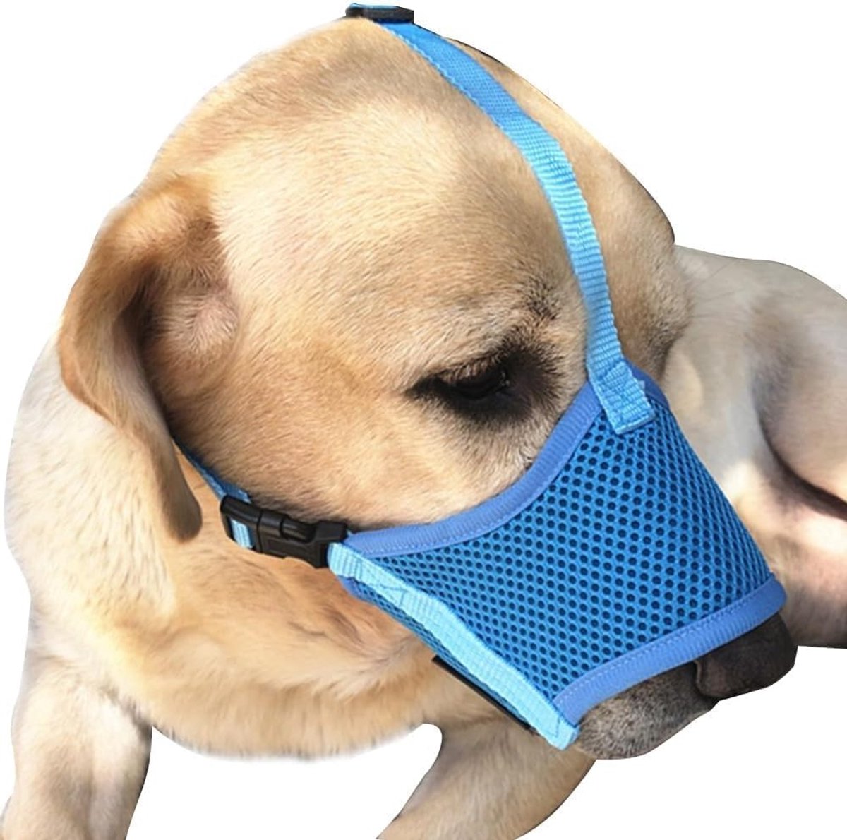 Verstelbare ademende muilkorf van zacht net voor honden, veilig bij training en wandelen, voorkomt bijten en biedt comfort