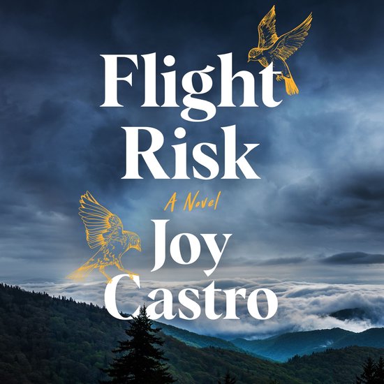Flight Risk - cover