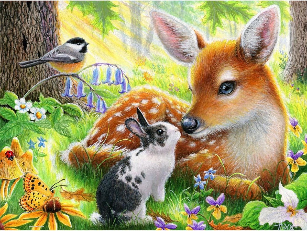 Legpuzzel 1000 Stukjes - Volwassen Puzzel - Ontspannende Tijd - Stukjes Klikken - 47.6 x 63.3 cm - Natuur Thema