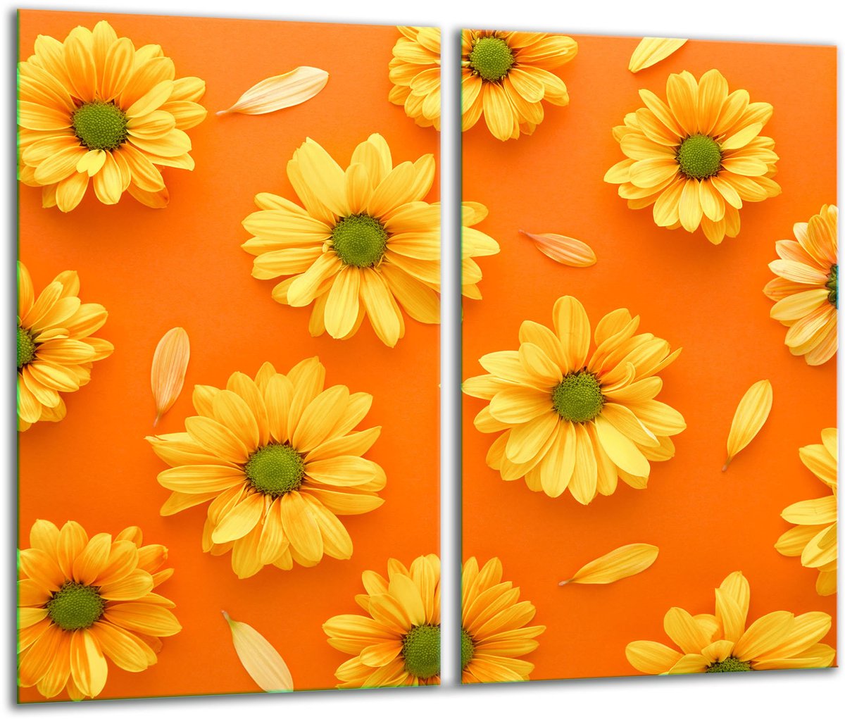 TMK ArtDeko Serie - Glazen Snijplank - 2x 30x52 cm - Kleur Kwiaty