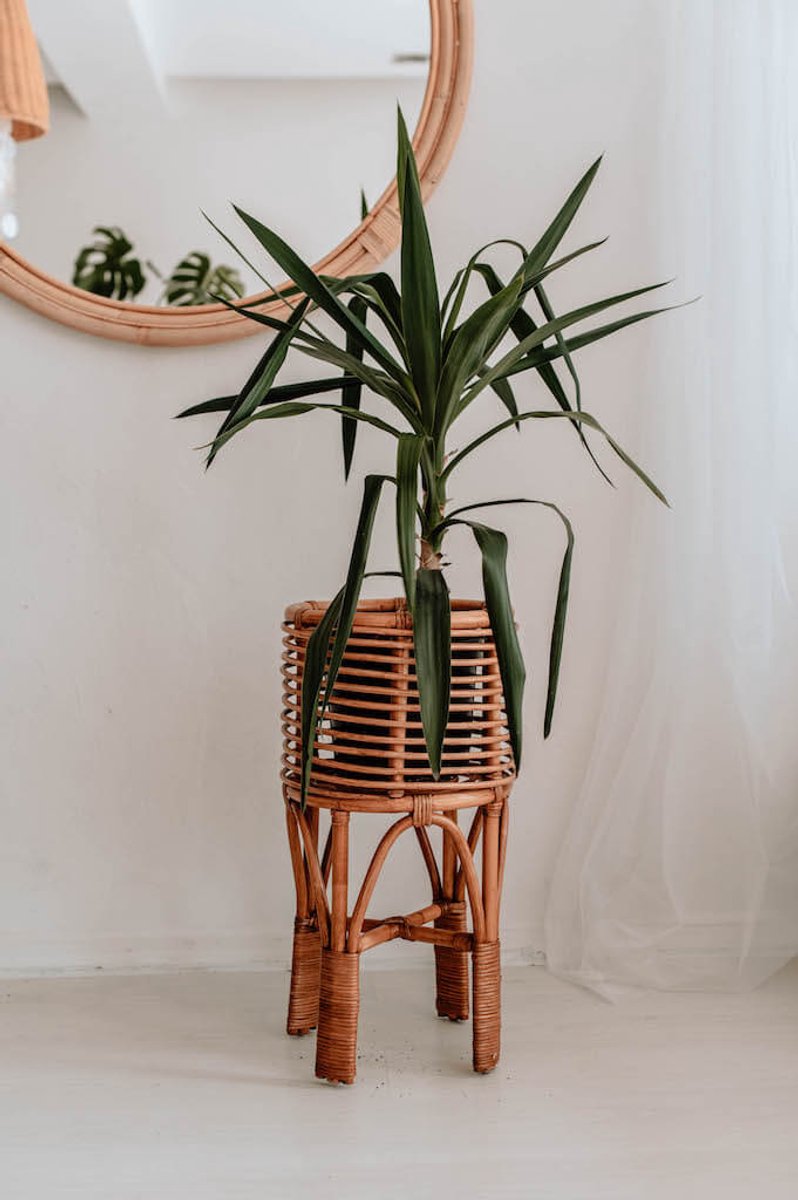 Monnarita Pollie S - Rattan Plantenstandaard - Boho Stijl - Karamel