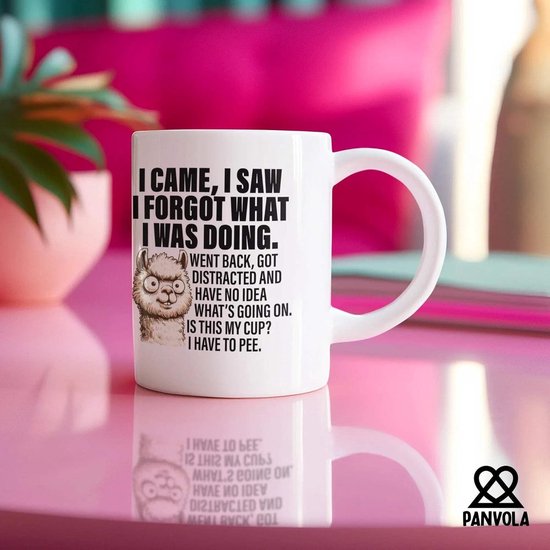 Panvola I Came I Saw I Forgot What I Was Do Oudere mensen Ouderen Geschenken Vrouwen Moeder Mannen Opa Oma 70e 80e 90e Verjaardag Senior Citizen Gifts Mensen met Dementie Keramische Mok Wit 325 ml — afbeelding 3
