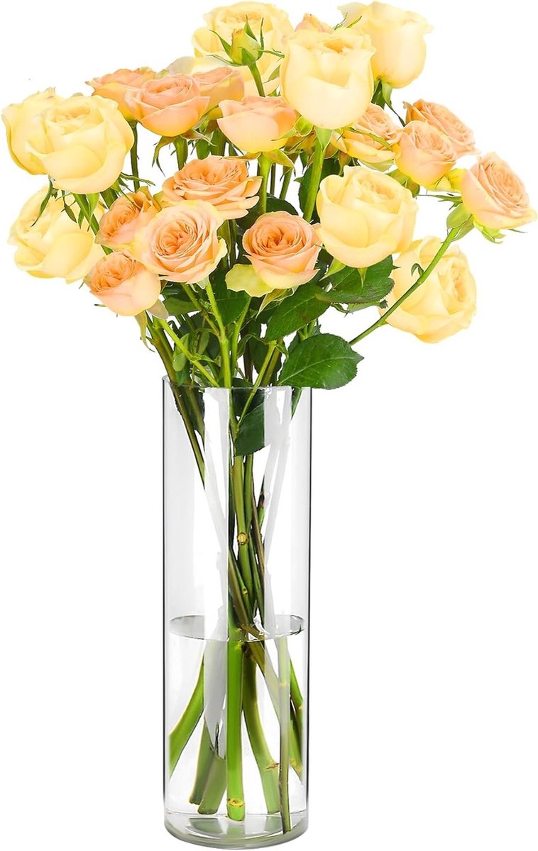 Cilindervormige transparante acryl vaas - Lichtgewicht en breukbestendig voor bloemen in woonkamer, slaapkamer, kantoor of badkamer - Modern decoratief accessoire - 10x25cm