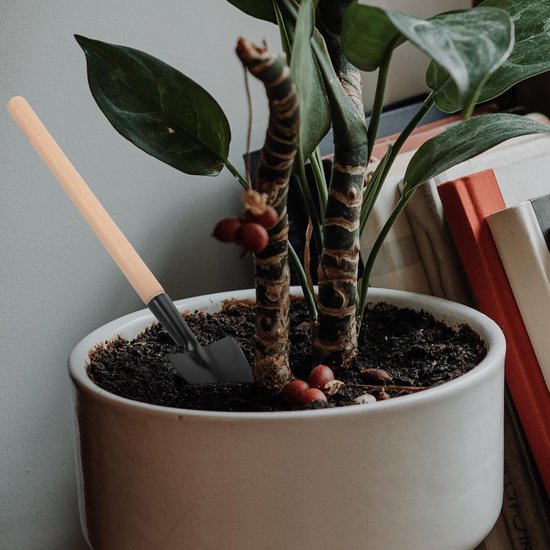 Mini Tuingereedschap Set - Kleine Handgereedschap - Planten Verzorgen - Ergonomische Houten Handgrepen - 10 Delig - Zwart van MINI — afbeelding 5