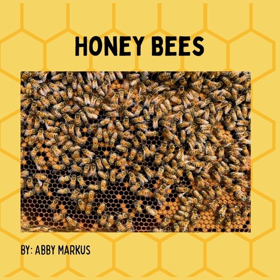 Honey Bees - cover