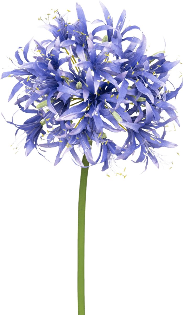 Easyplants | Kunstbloem Nerine 70 cm paars | Zijde | Nepbloemen | paars | Onderhoudsvrij | Kant-en-klaar