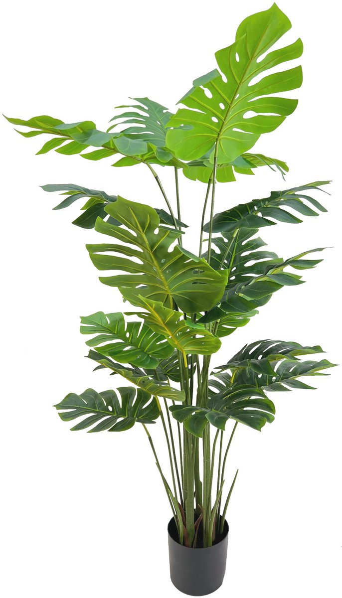 PrettyPlants Monstera Kunstplant 165cm | Grote Monstera Kunstplant | Kunstplant voor Binnen | Grote groene kunstplant | Kunst gatenplant | Nep Monstera