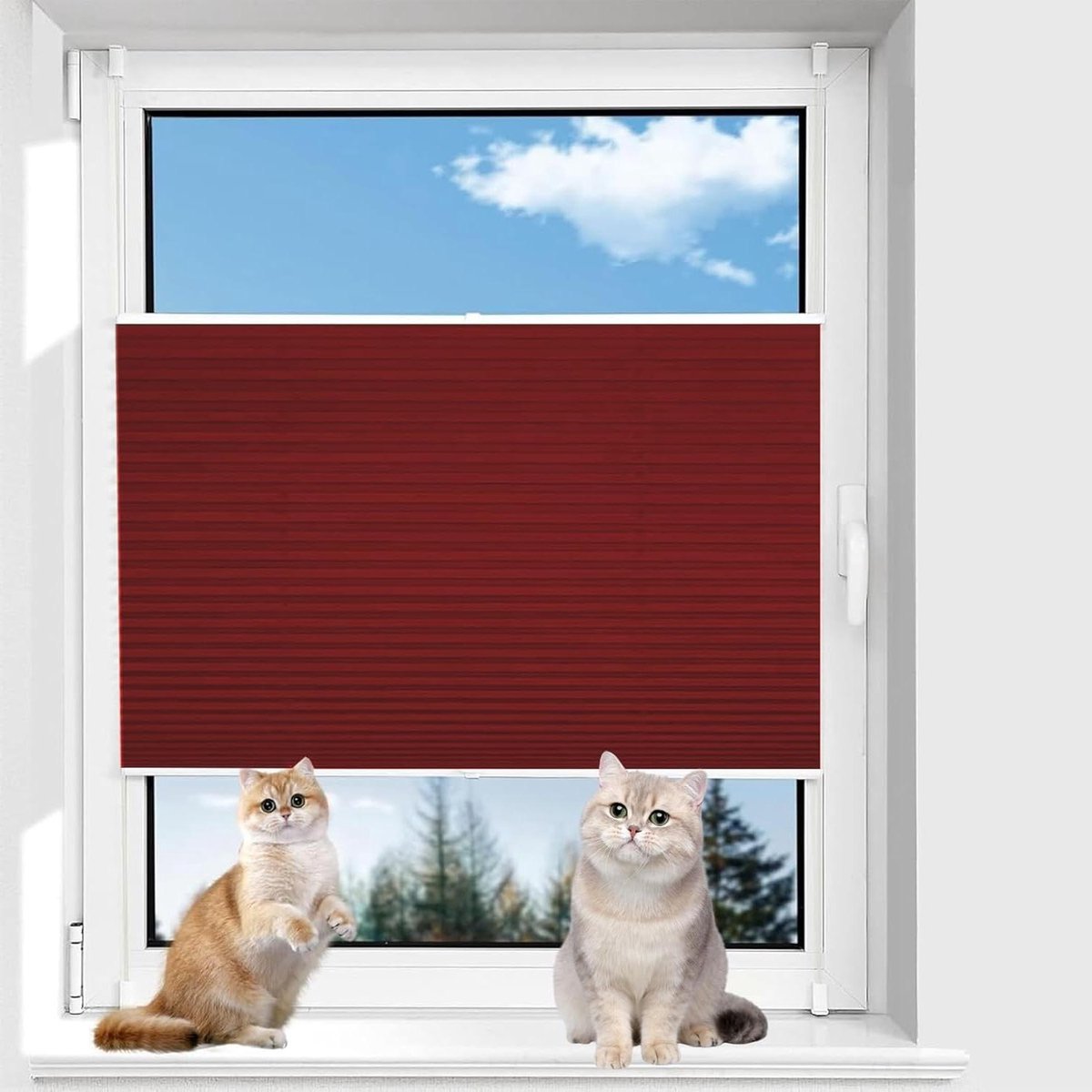 Geplooide jaloezieën - Serrejaloezieën Raamdecoratie - Lichtfiltering Privacy - Zelfklevend Zonder Boren - 70 x 170 cm - Rood