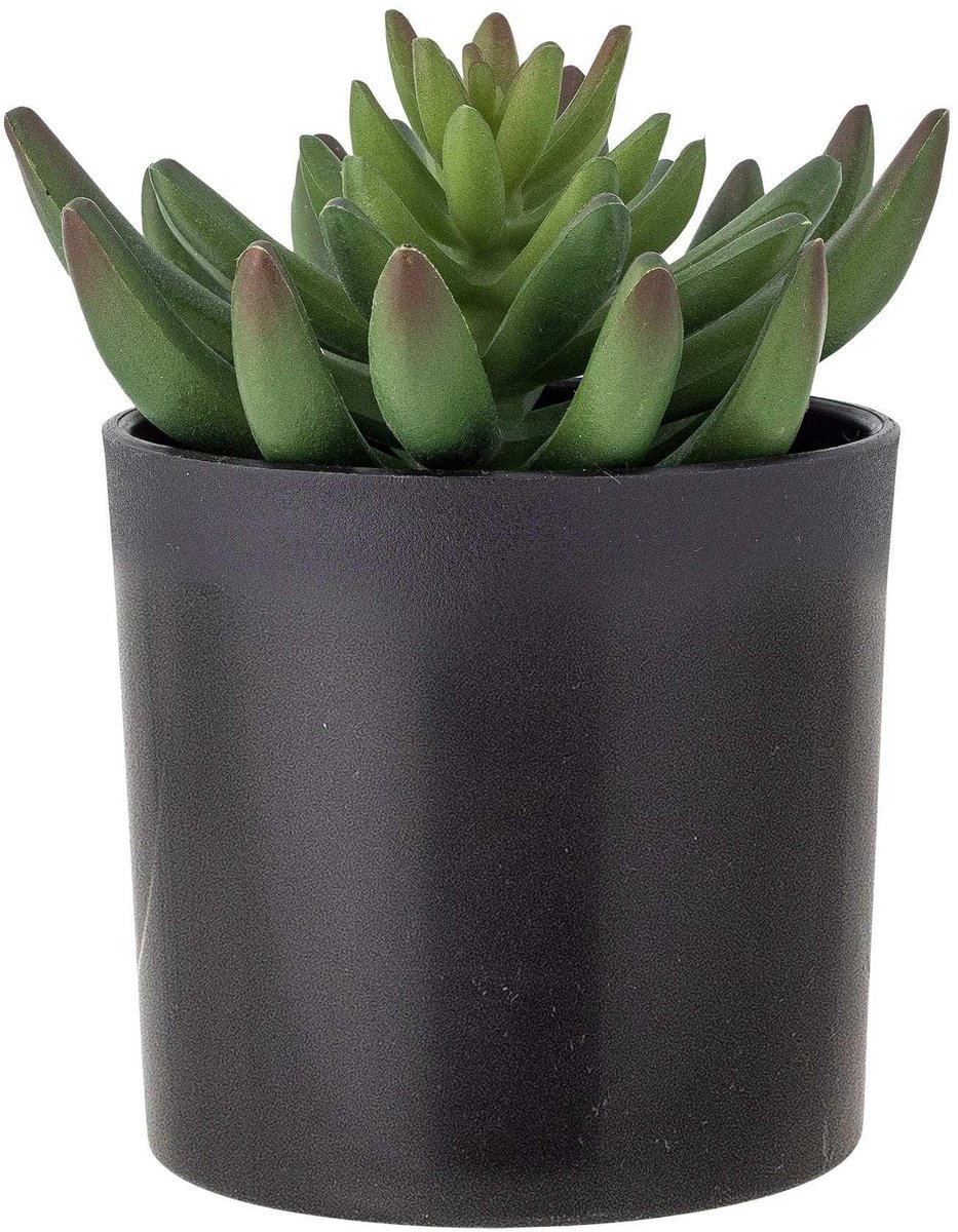 Bloomingville Kunstplant Echeveria Plant Print