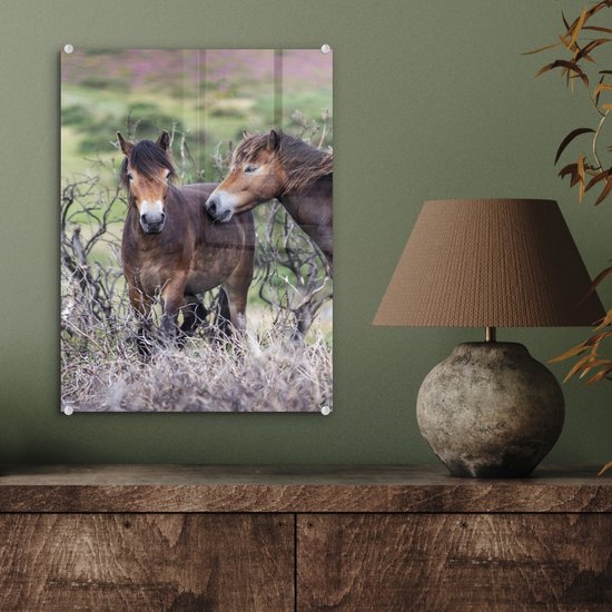 ® Glasschilderij 30x40 cm - Schilderij acrylglas - Paarden in het Nationaal park Exmoor in Engeland - Foto op glas - Muurdecoratie woonkamer - Wanddecoratie slaapkamer - Schilderijen