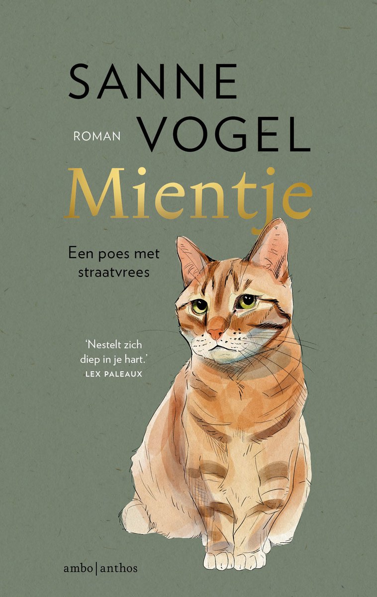 Omslag van Mientje