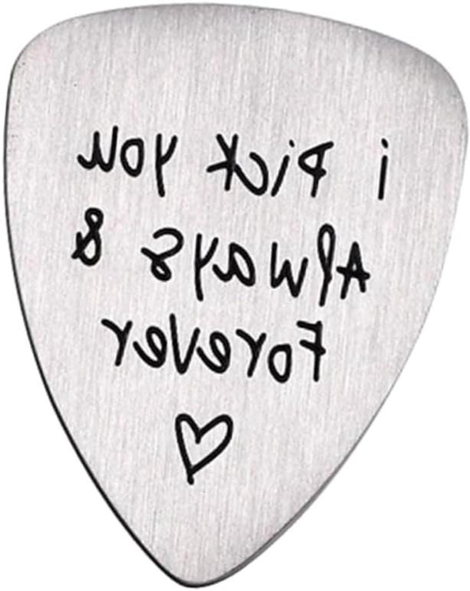 Gitaar plectrum - Metaal plectrum - Muziek maken - Titanium staal - Medium formaat - Zilver