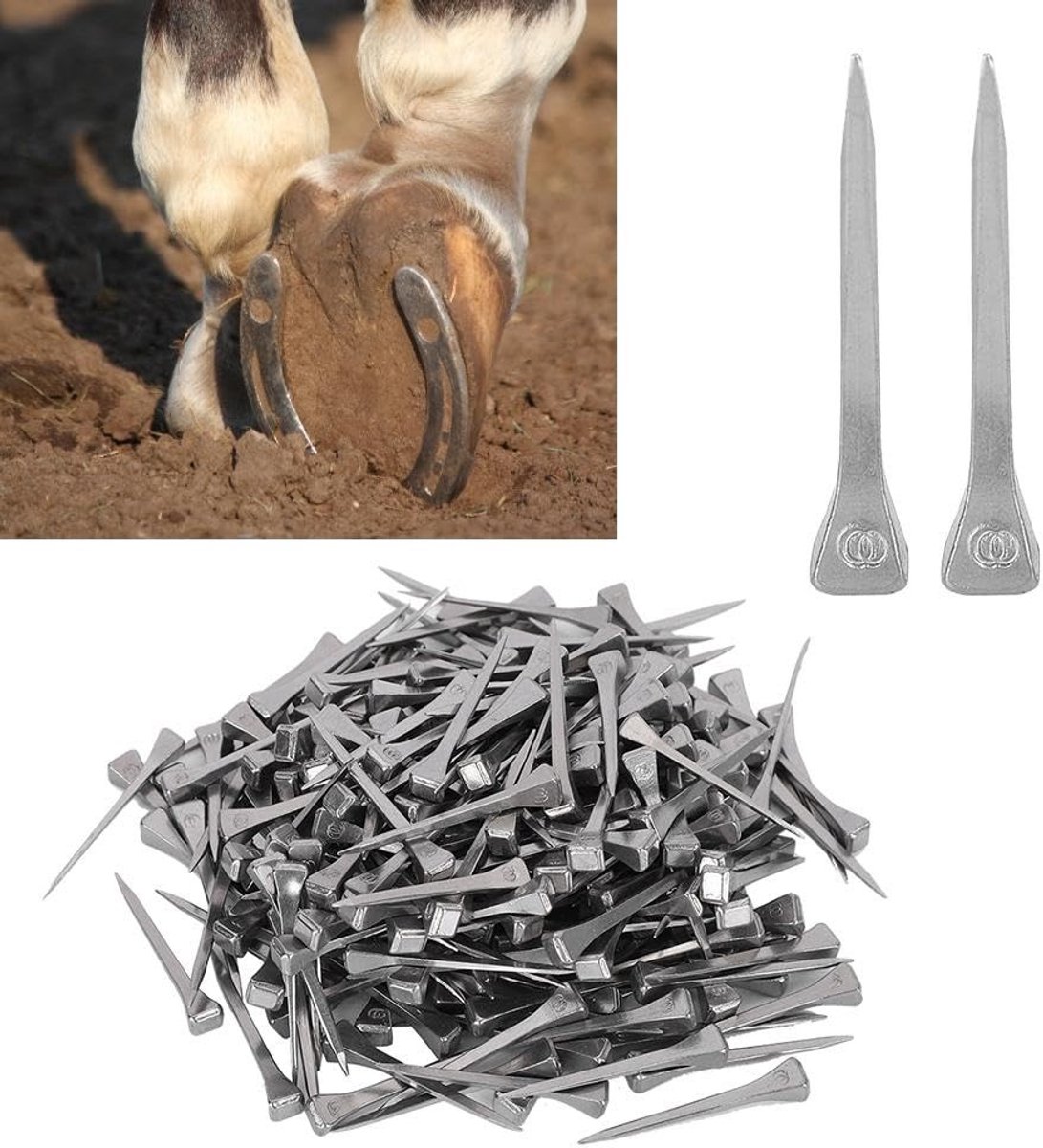 ONF3 - Hoefijzer Nagels - Stalen Hoefijzernagels - Eenvoudig te gebruiken - 250 Stks - Duurzaam en sterk - Geschikt voor paarden