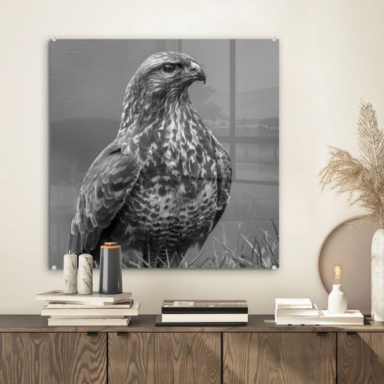 MuchoWow® Peinture sur verre 50x50 cm - Peinture acrylique sur verre - Une buse est assise dans un champ - noir et blanc - Photo sur verre - Peintures