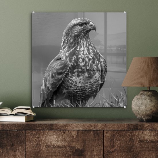 MuchoWow® Peinture sur verre 50x50 cm - Peinture acrylique sur verre - Une buse est assise dans un champ - noir et blanc - Photo sur verre - Peintures