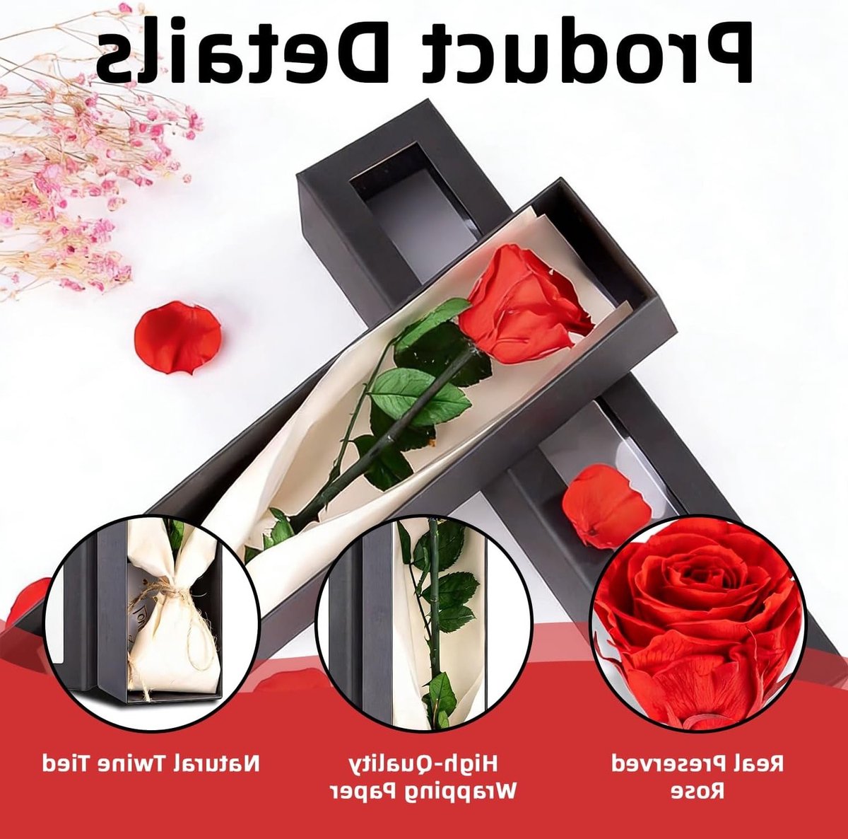 Eternal Rose in Luxe Geschenkdoos, Echte Bewaarde Rode Roos voor Verjaardag, Valentijnsdag en Moederdag Cadeau