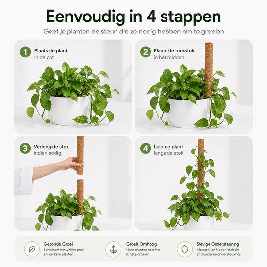 BOTC Mosstok voor Planten - 2x40cm - Plantenstok - Plantensteun - Perfect voor Monstera, Pothos en Meer