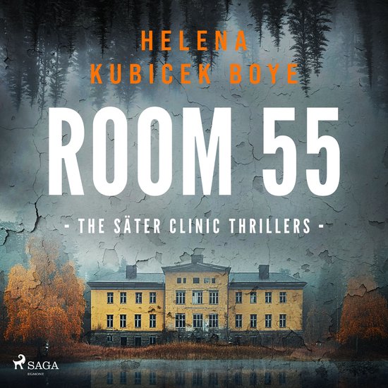 Room 55: A clever Scandi-Noir thriller set in Sweden's notor ... - cover