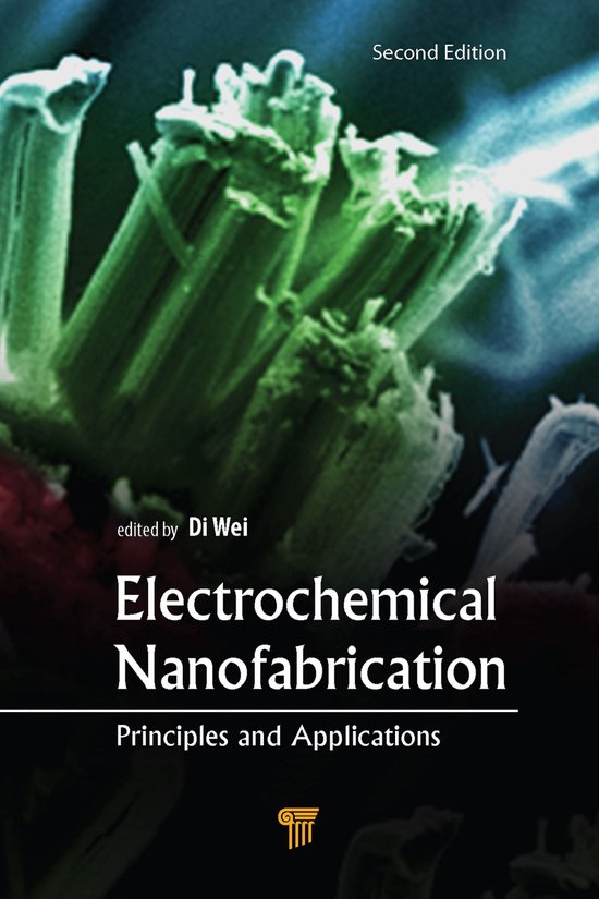 Electrochemical Nanofabrication - cover