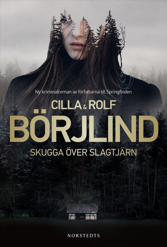 Rönning/Stilton 9 - Skugga över Slagtjärn - cover
