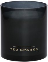 Bol.com Ted Sparks - Geurkaars Demi - Bamboo & Peony aanbieding