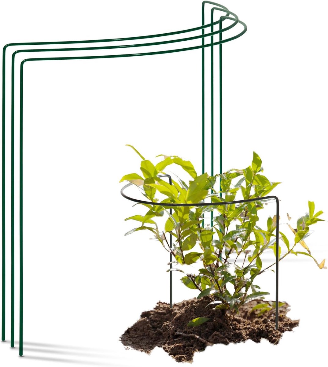 struiksteunen metaal halfrond 40 cm Ø35 cm hoog groene vaste plantenhouder bloemenhouder klimplant plantensteun bloemensteun vaste plantensteun klimhulp struikhouder rozensteun