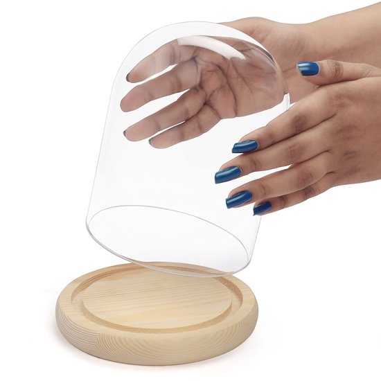 Dôme Verre 15.2 Cm Diamètre Cloche En Verre Avec Base En Bois – 25,4 Cm De Haut, 15,2 Cm De Diamètre, Pour Plantes, Décoration, Terrarium Cloche Présentation Plantes Objets Dôme Verre 15.2 Cm Diamètre Cloche En Verre Avec Base En Bois – 25,4 Cm De Haut, 15,2 Cm De Diamètre, Pour Plantes, Décoration, Terrarium Cloche Présentation Plantes Objets