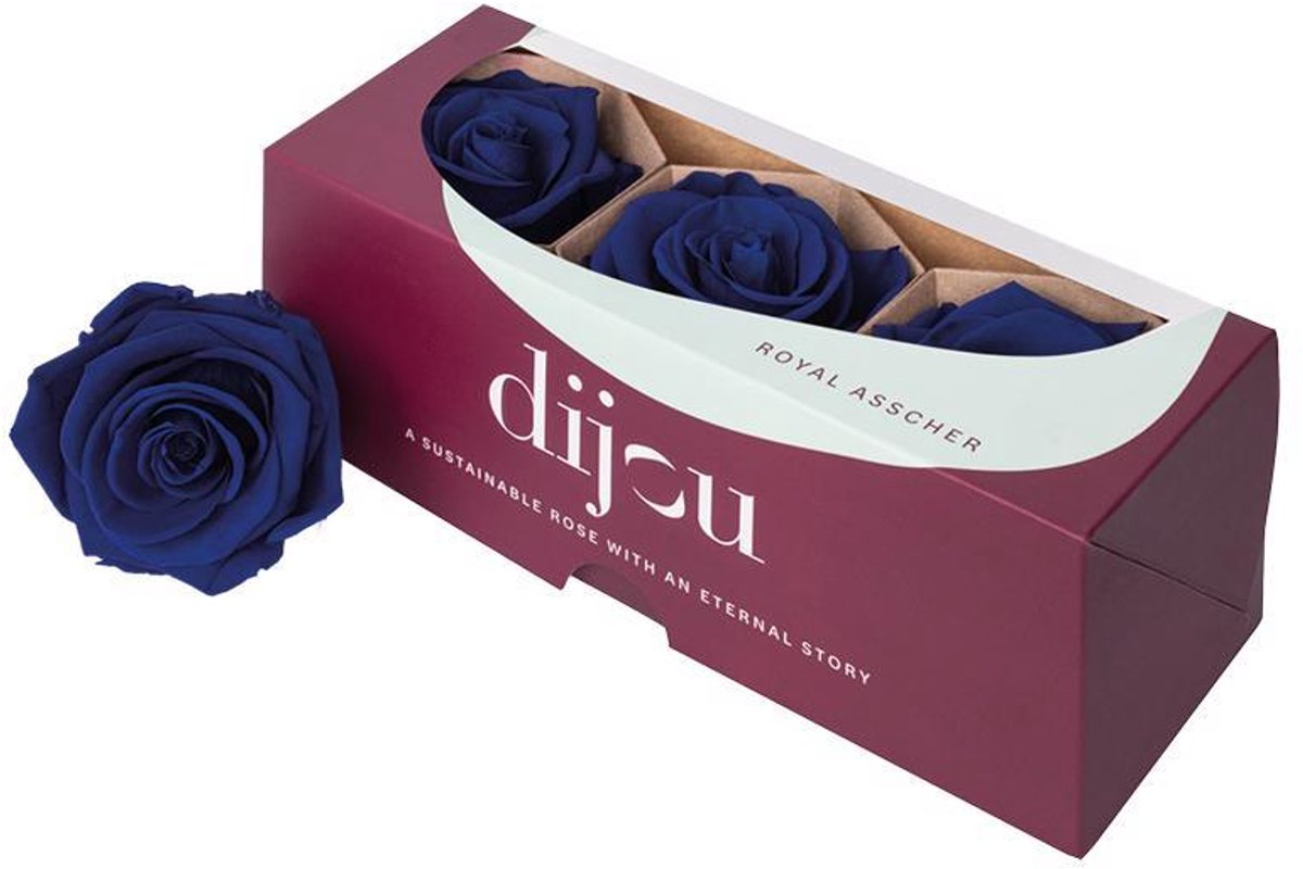 3x Dc pres.rozen blue 0294c