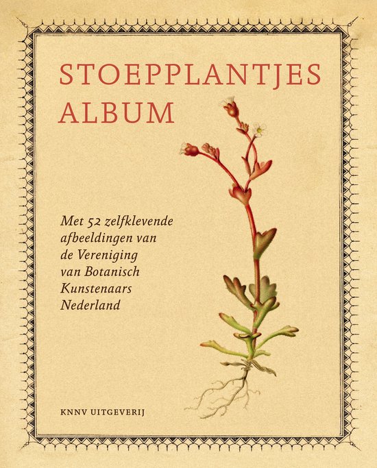 Stoepplantjesalbum - cover