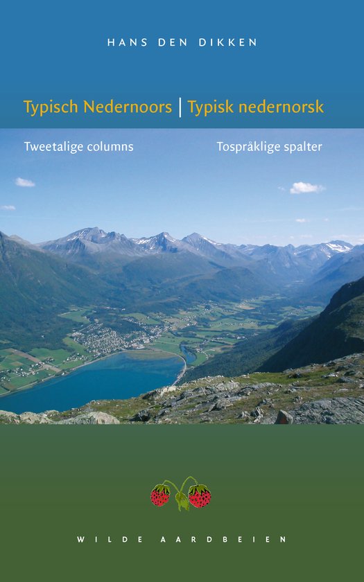 Typisch Nedernoors - cover