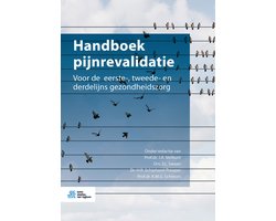 Handboek pijnrevalidatie