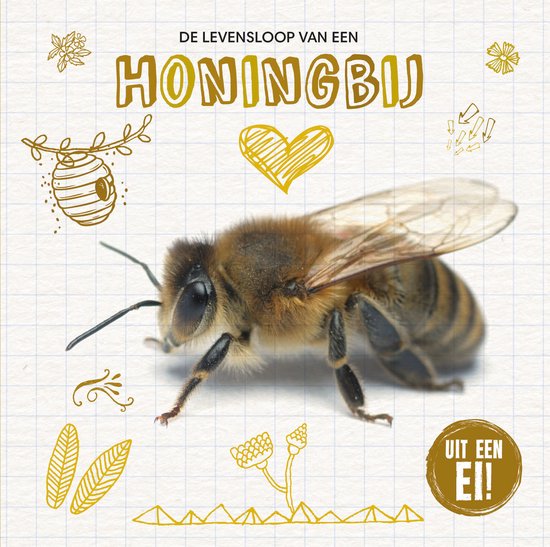 Uit een ei! - De levensloop van de honingbij - cover