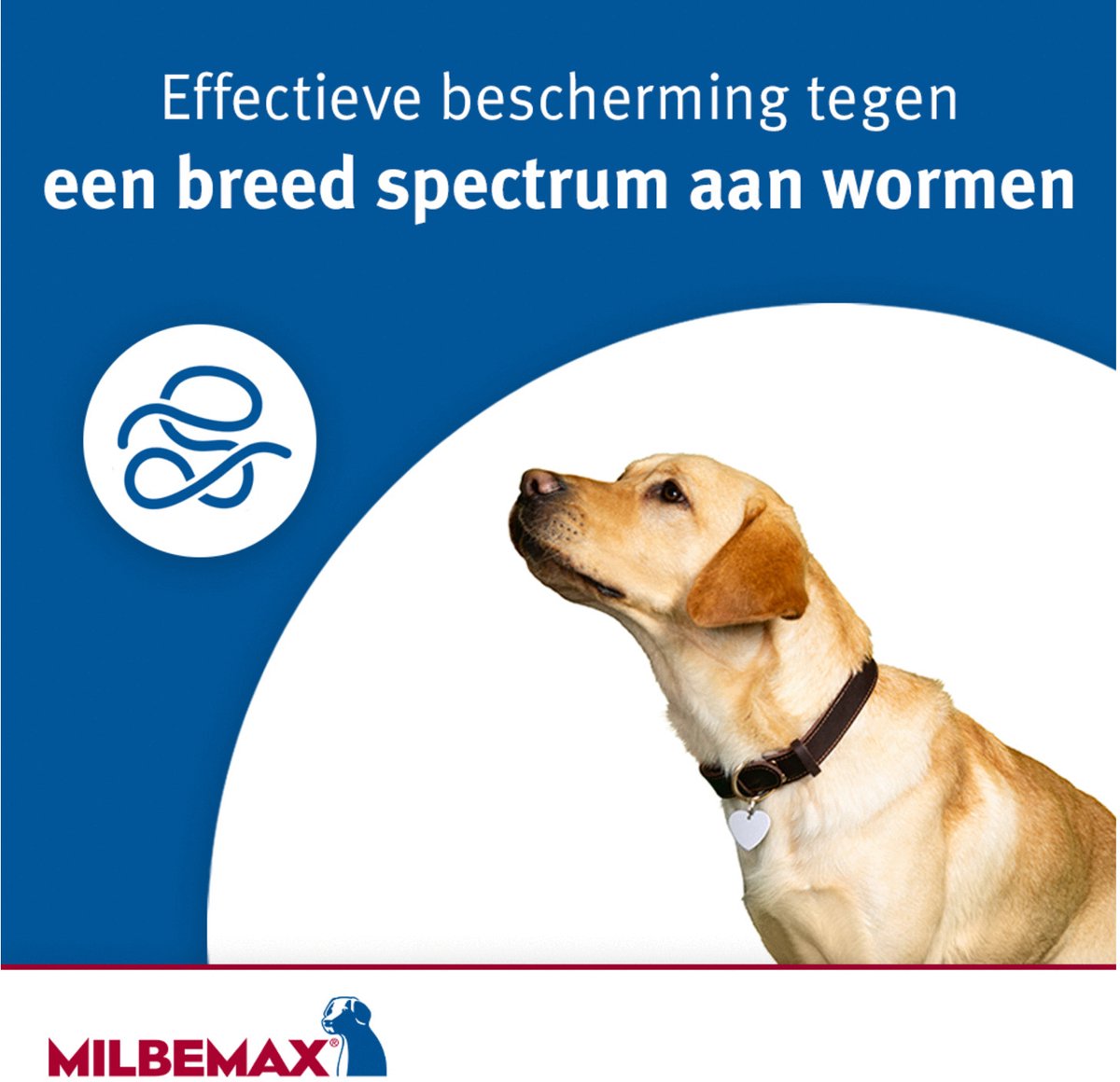 Milbemax Ontworming Kauwtabletten Hond 5 - 75 kg - 4 tabletten — afbeelding 4