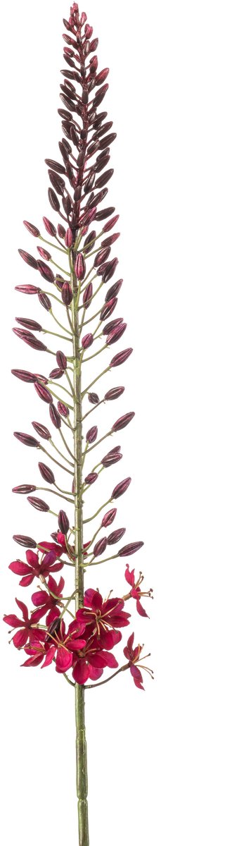 Emerald Kunstbloem Eremurus 108cm bordeaux - Kunstplant voor binnen