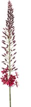 Emerald - Fleur artificielle Eremurus 108cm bordeaux - Plante artificielle pour intérieur