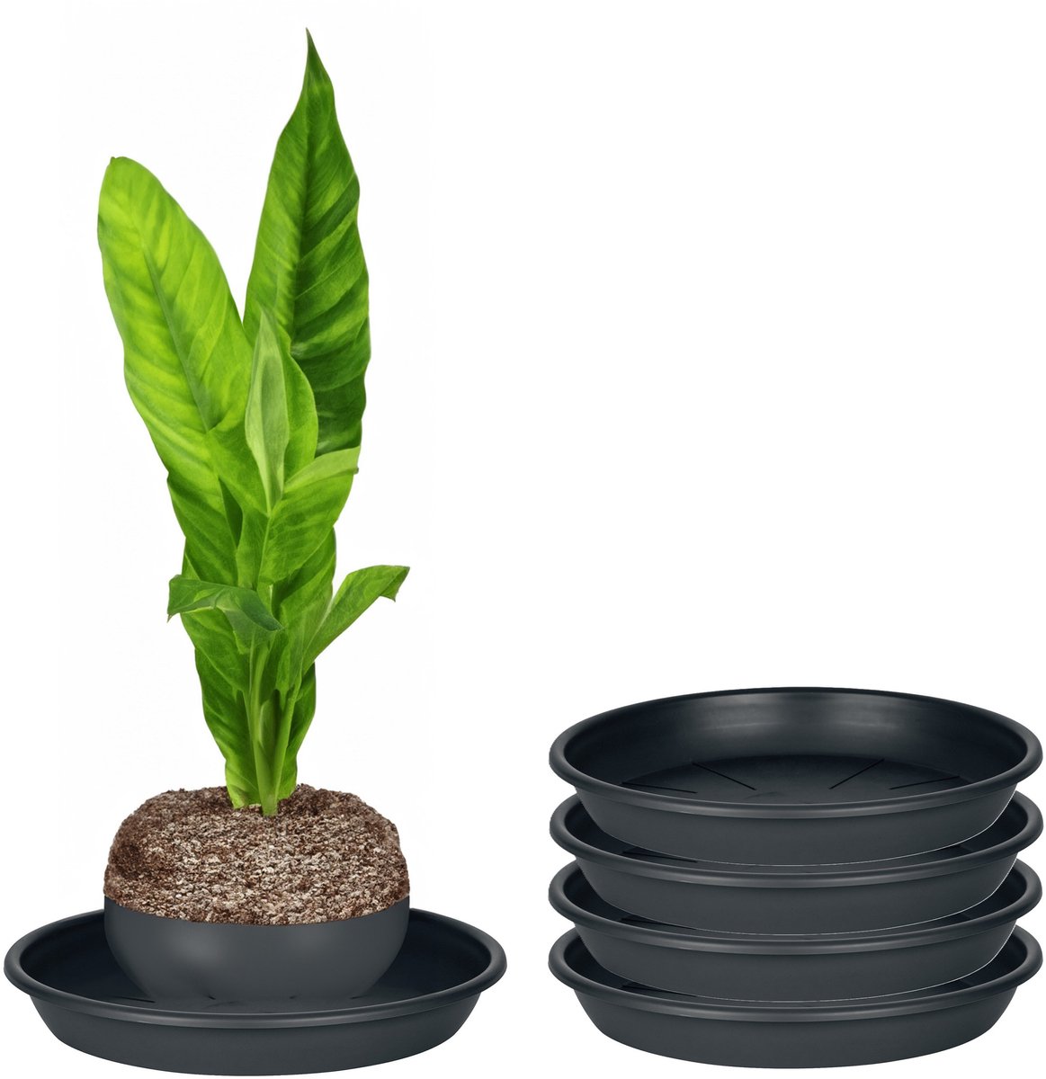 Juypal Plantenschotel - 4x - zwart - kunststof - Dia 15 cm - onderschotel/opvangschaal