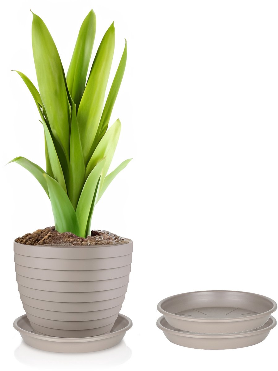 Juypal Plantenschotel - 2x - taupe - kunststof - Dia 30,5 cm - onderschotel/opvangschaal