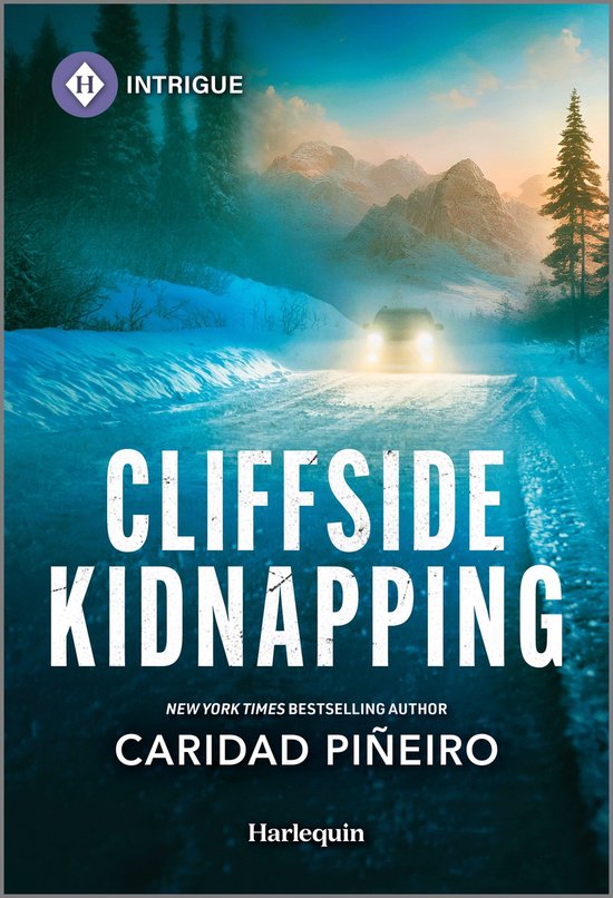 Crooked Pass Security 1 - Cliffside Kidnapping - cover