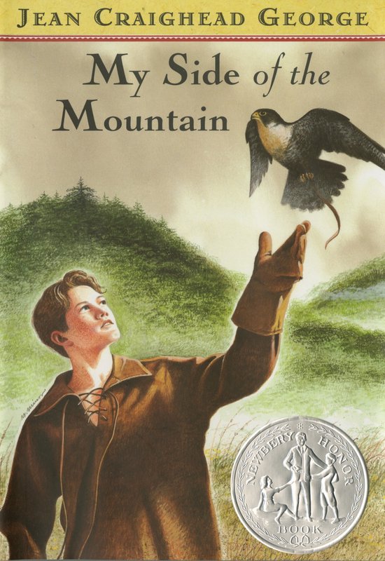 My Side of the Mountain - cover