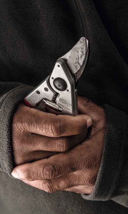 FELCO 12 Snoeischaar met rolhandgreep van Felco — afbeelding 5