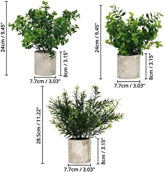 Plantenpakket Klein Kwartet kopen