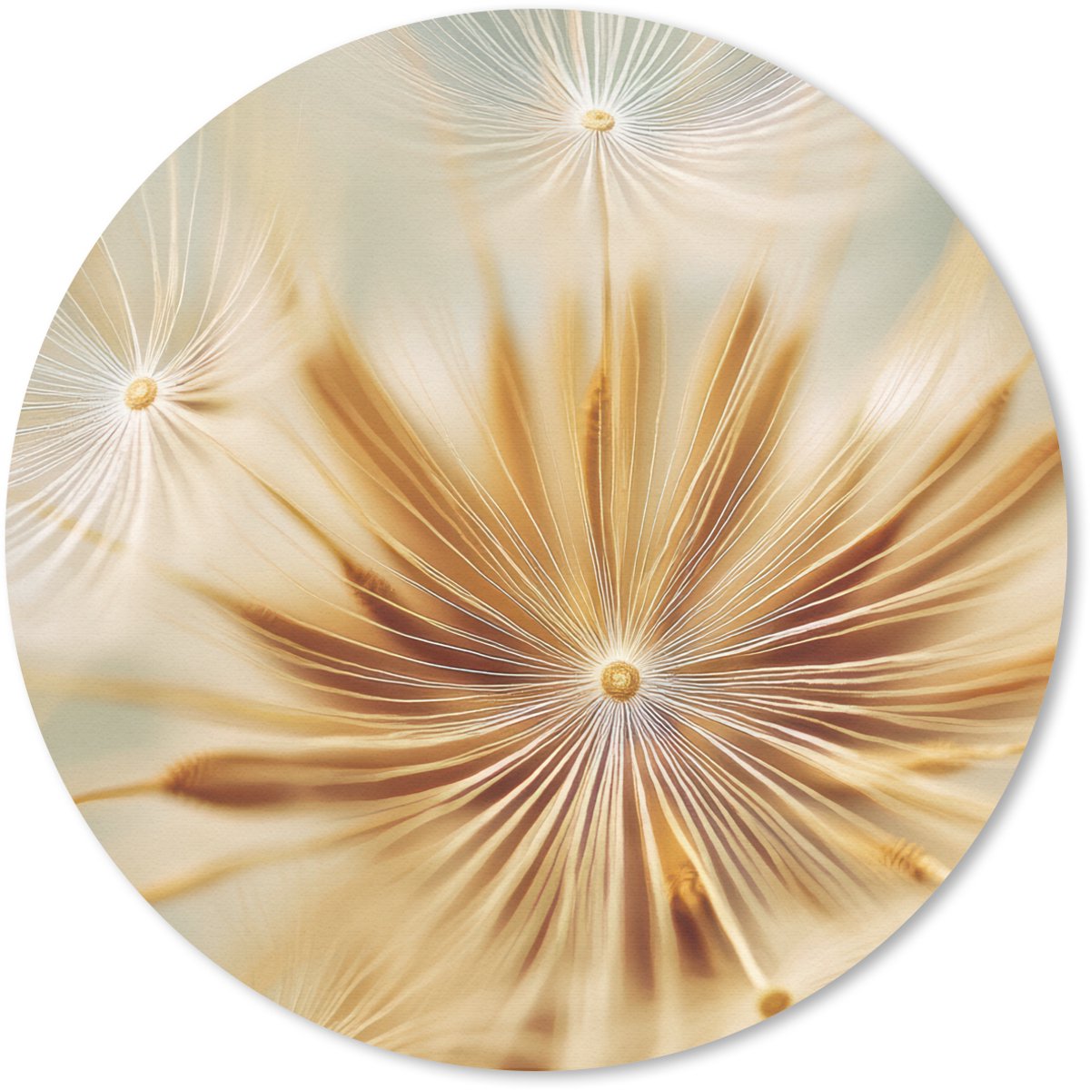 Muismat rond 50x50 cm - Mousepad Paardenbloem - Beige - Abstract - Modern - Natuur - Ronde muismatten