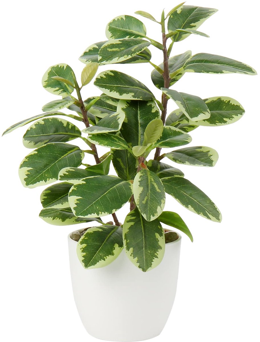 Ibenzoa Kunstmatige Camelia Bloemrijke Decoratie in Stijlvolle Kunststof Pot voor Huis en Hotel groen