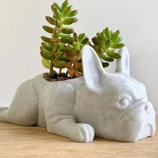 NCYP Glazen cloche koepel met luchtgat en basis, 15 x 15 x 21 cm, doorzichtige terrariumplanter voor kleine cactussen, vetplanten, Venus Flytrap, tafeldecoratie (alleen glazen koepel