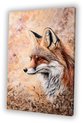 Vos, Realistische kunst, Bruin, wit, zwart, beige, oranje